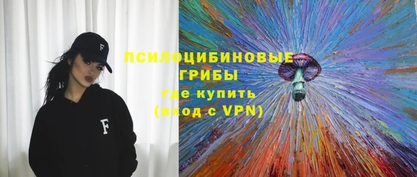 гашик Горно-Алтайск