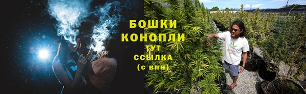 гашик Горно-Алтайск