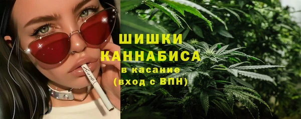 Альфа ПВП Горнозаводск